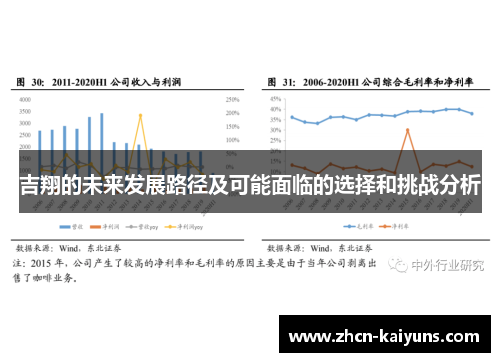 吉翔的未来发展路径及可能面临的选择和挑战分析